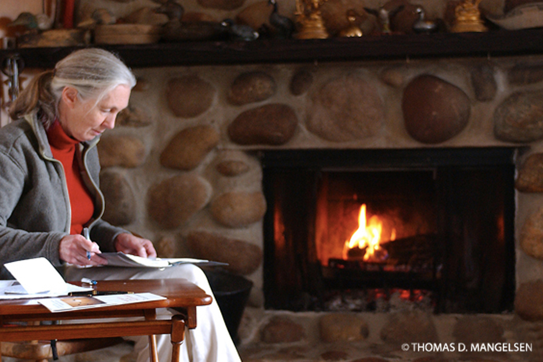 Prólogo de Jane Goodall